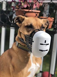 Guard Emmett.jpg
